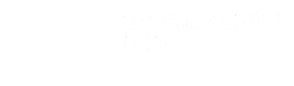Endemol Shine Italy